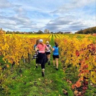 Забег Яблони в цвету