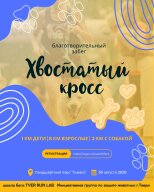 Забег Благотворительный забег 