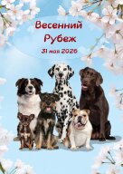 Забег Весенний Рубеж