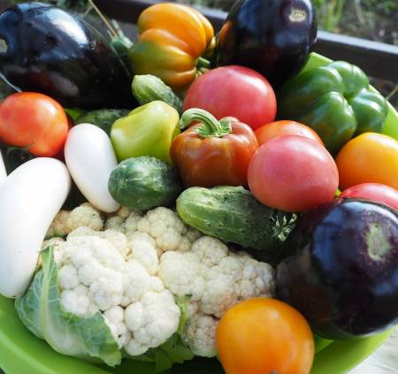 Рекомендации по питанию для бегунов-веганов