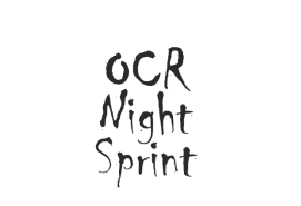 Забег CRAZY SQUIRREL NIGHT SPRINT