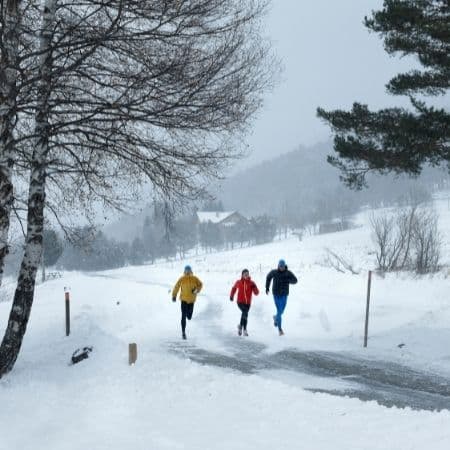 Забег Пробег «Здравствуй, здравствуй, Новый год!»