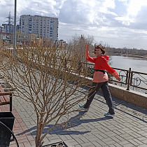 галерея