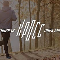 галерея
