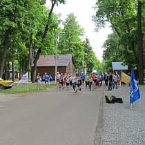 галерея