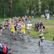 галерея