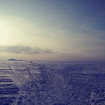 галерея