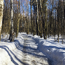 галерея