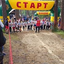 галерея