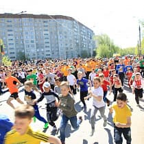 галерея