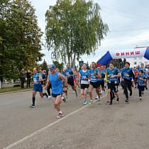галерея