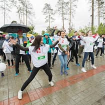 галерея