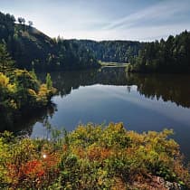 галерея