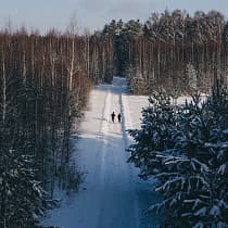 галерея