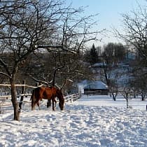 галерея