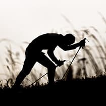 галерея