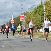 галерея