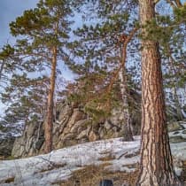 галерея