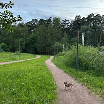 галерея