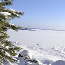 галерея