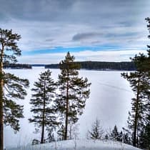 галерея
