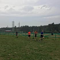 галерея