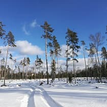 галерея