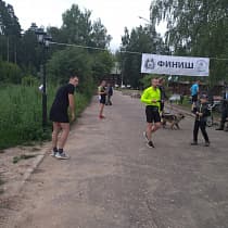 галерея