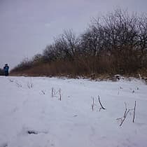 галерея