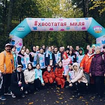 галерея