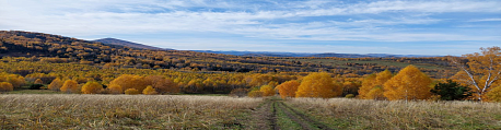 Забег Ulala Trail