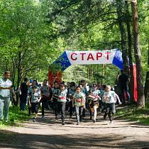 галерея