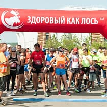 галерея