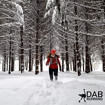 галерея
