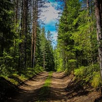 галерея