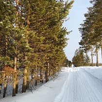 галерея
