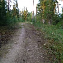 галерея