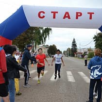 галерея