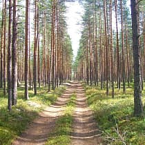 галерея