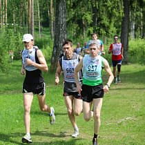 галерея