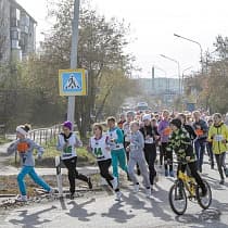 галерея