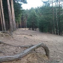 галерея