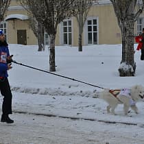 галерея
