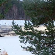 галерея