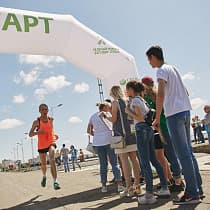 галерея