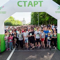 галерея