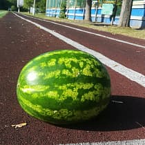 галерея