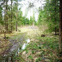 галерея