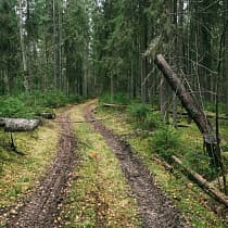 галерея