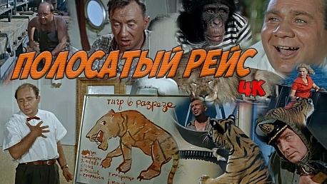 Забег Кино Серия. Полосатый рейс